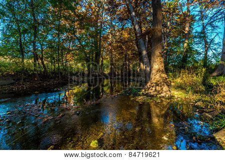 Fall Foliage on Cibolo Creek, Texas.