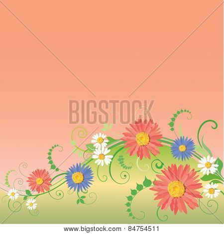 Beautiful camomiles design. Vector of summer background with gradient