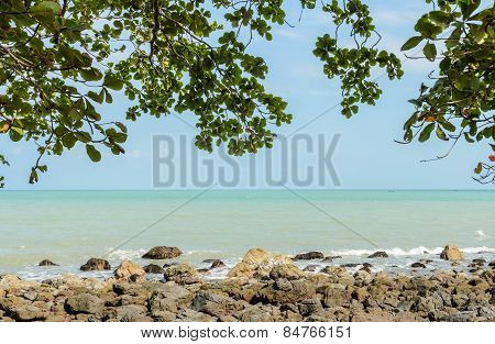 Rock Shore Tropical Seascape