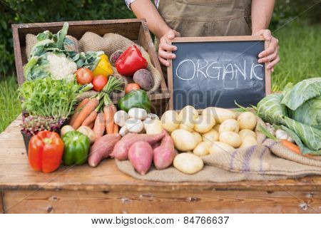 Farmer selling organic veg at market on a sunny day