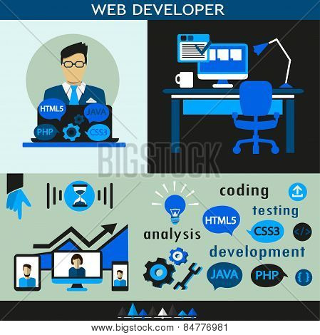 Web development infographic