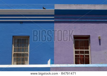 Coloured Houses