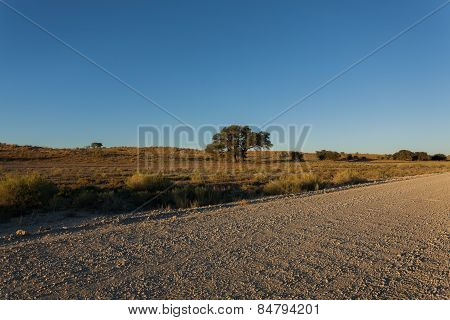Kgalagadi
