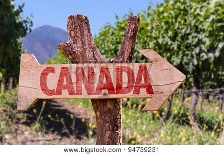 Canada wooden sign with winery background