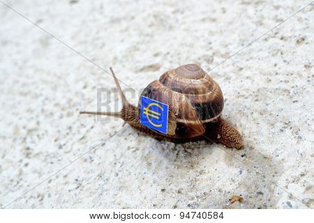 Snail With With Symbols Of Money On A Shell