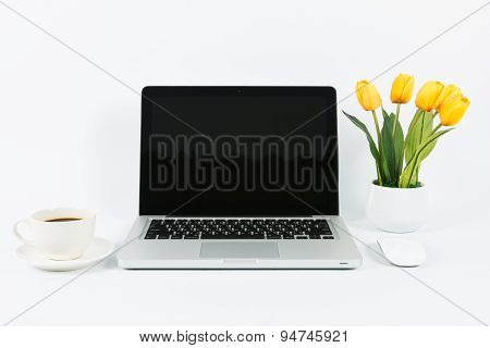 Laptop And Flower Pot Isolate