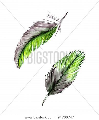 Set Of Two Gray-green Watercolor Feathers