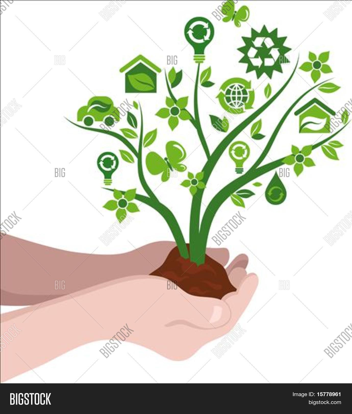 Small Tree Ecological Vector & Photo (Free Trial) | Bigstock