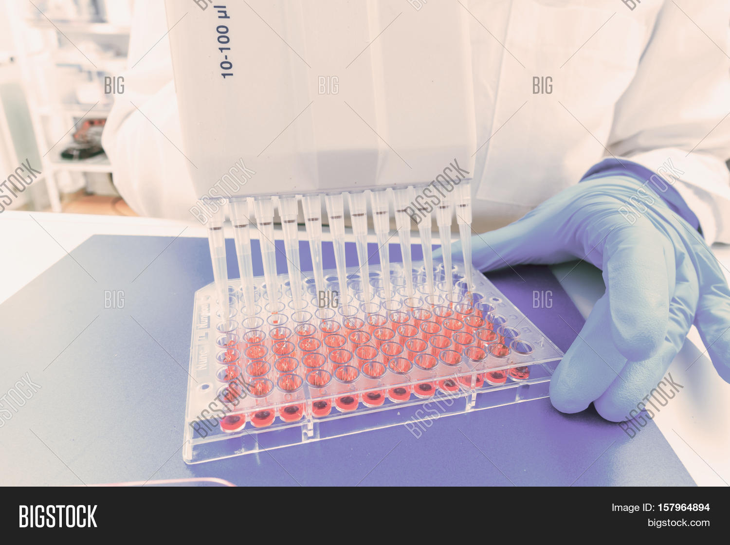 96 Well Plate PCR Image & Photo (Free Trial) Bigstock
