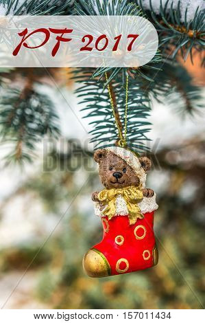 Pf 2017 - Teddy Bear And Red Sock, Christmas Toy On A Christmas