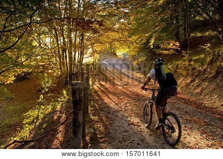 Tiravento Mount Premilcuore Forli forest agricultural heritage riding mountain bike in the Casentin Forest in Romagna