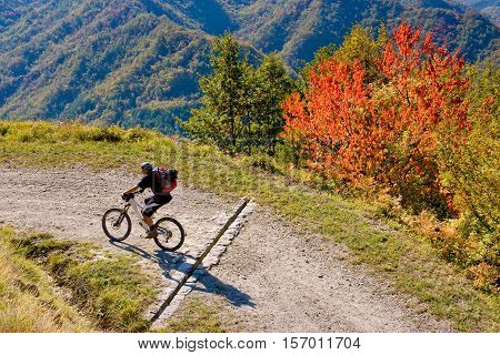 Tiravento Mount Premilcuore Forli forest agricultural heritage riding mountain bike in the Casentin Forest in Romagna