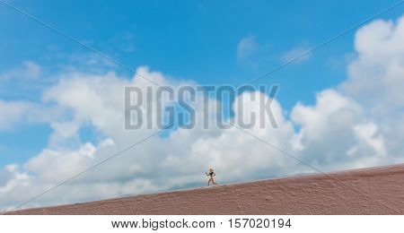 Minifigure Doll Idea Image Of Runner