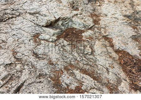 Granite Rock Texture With Dry Leaf