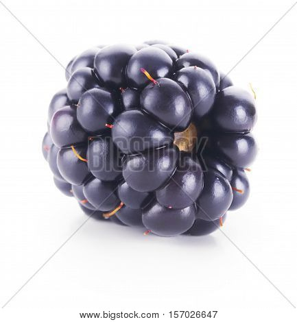 Single fresh black berry isolated on white background