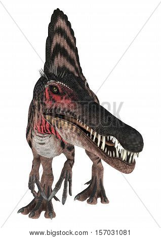 3D Rendering Dinosaur Spinosaurus On White