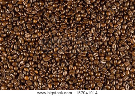 Roasted Coffee Beans pattern texture for background