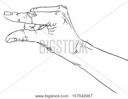 Hand showing small value or use it to put some small object between the fingers detailed black and white lines vector illustration hand drawn.