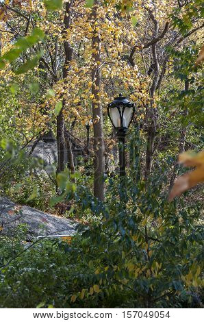 Black Lamp Post And Fogliage On Central Park, New York