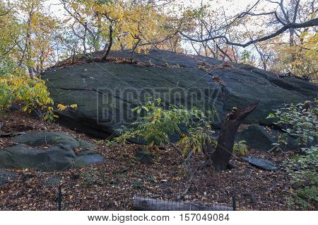 Big Rock On Garden In Central Park, New York