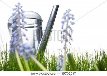 haven accessoires