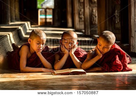 A group of novices in Myanmar are reading book. The lifestyle of a novice are learning.