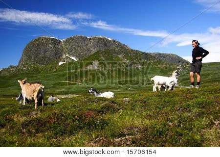 Kozy a tramp v národním parku Jotunheimen, Norsko