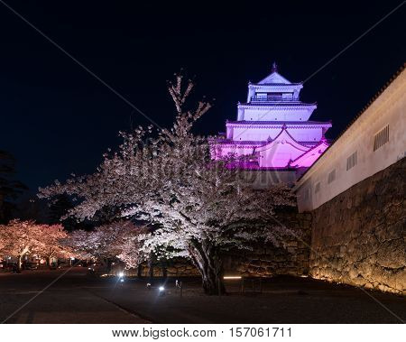 Light up of cherry blossoms tree in Tsuruga Castle (Aizu castle)