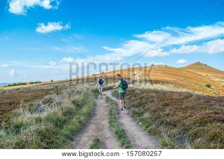 Tourists trekking on Polonina Wetlinska, Bieszczady mountains, Poland
