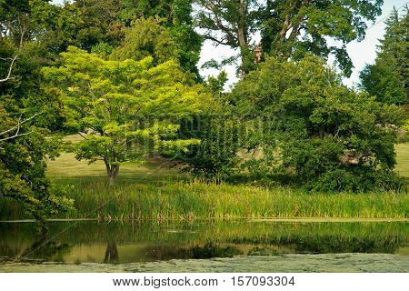 Beautiful Gisselfeld Park