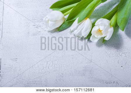 The bunch of white tulips on wooden table