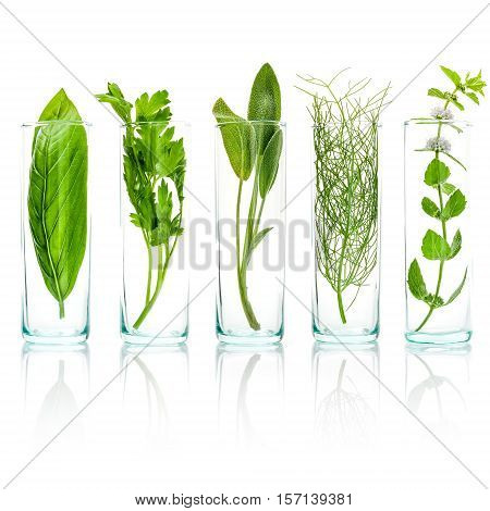 Close Up Bottles Of Fresh Aromatic Herbs . Fresh Sage Branch , Sweet Basil Leaves ,fennel ,parsley A