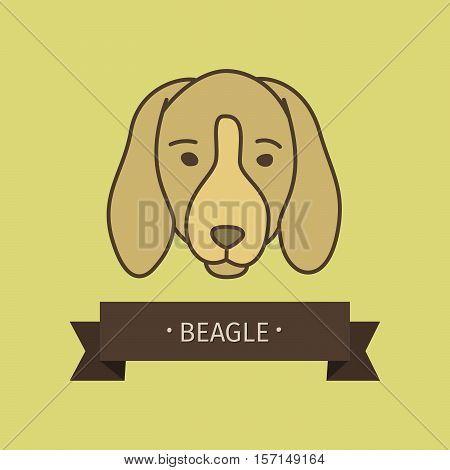 Beagle breed dog for logo design. Vector colored hand drawn dog head