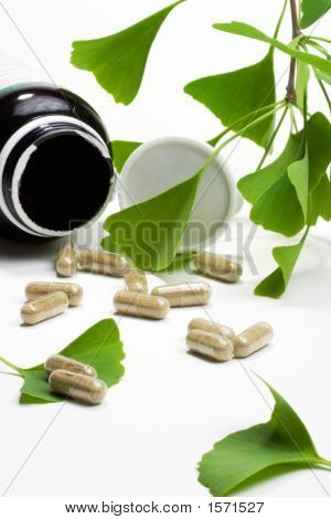 Ginkgo Biloba