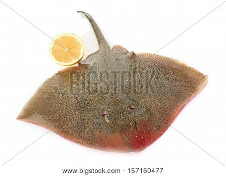 fresh rays in front of white background