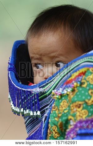 Coc Ly, Vietnam, October 25, 2016 : Baby On The Back Of His Mother On Tuesday Market Of Coc Ly, A Sm