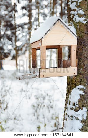 bird feeder on a tree in winter forest.
