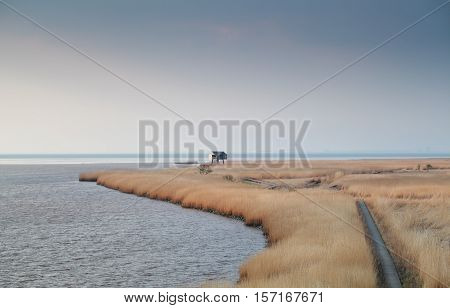 path on the Dollard coast Nieuwe Statenzijl Netherlands