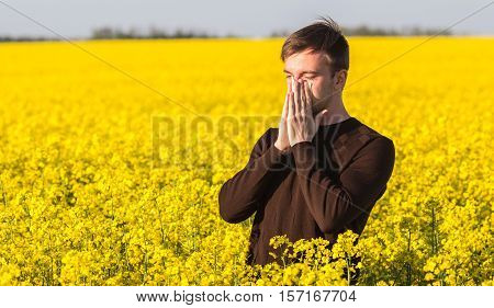 Man In Yellow Canola Field Blowing His Nose And Suffering From Pollen Allergy.