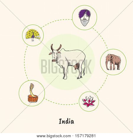 Attractive India. White cow colorized doodle surrounded elephant, lotus flower, cobra in basket, peacock, man in turban hand drawn vector icons. Indian cultural, nature symbols. Travel in Asia concept
