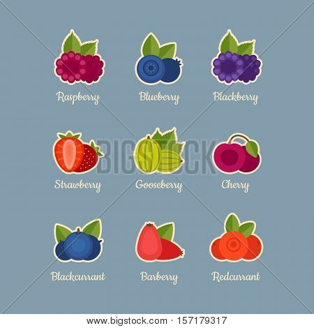 Berry Icon Set. Flat Style, Vector Illustration.