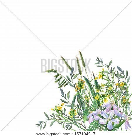 Colorful spring flowers and grass on a meadow. Watercolor hand painting illustration on isolate white background.