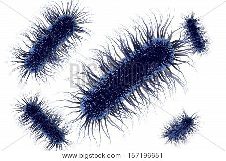 Escherichia coli bacterium, 3D illustration. Gram-negative bacterium with peritrichous flagella which is part of normal intestinal microflora and also causes enteric and other infections