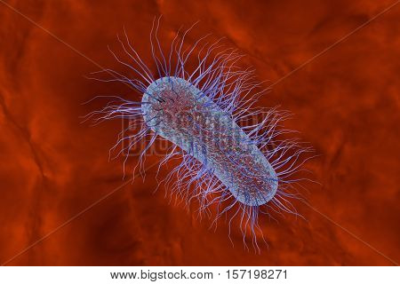 Escherichia coli bacterium in blood, 3D illustration. Sepsis, bacteriemia