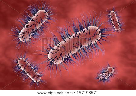 Escherichia coli bacterium, 3D illustration. Gram-negative bacterium with peritrichous flagella which is part of normal intestinal microflora and also causes enteric and other infections
