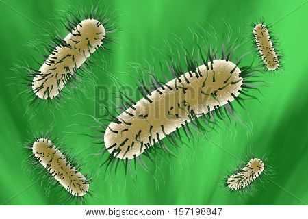 Escherichia coli bacterium, 3D illustration. Gram-negative bacterium with peritrichous flagella which is part of normal intestinal microflora and also causes enteric and other infections