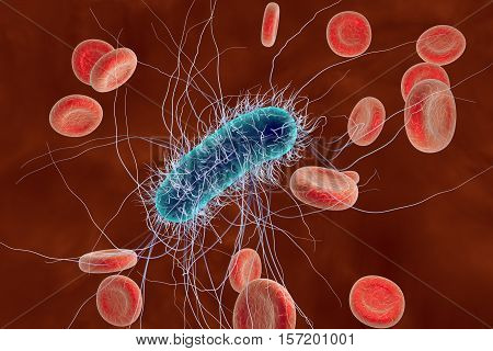 Escherichia coli bacterium in blood, 3D illustration. Sepsis, bacteriemia