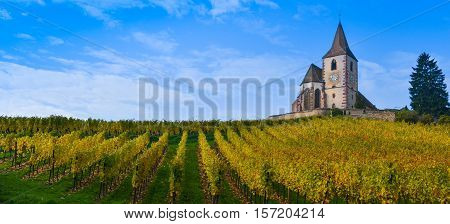 Hunawihr, Alsace Vineyard, France