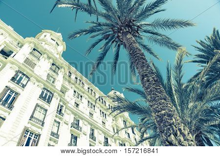 Retro effect palm tree and Carbonell House low angle point of view from Esplanada Alicante Spain
