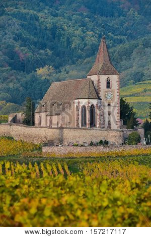 Hunawihr, Alsace Vineyard, France